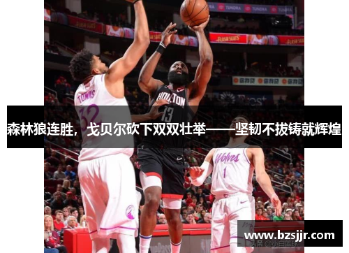 森林狼连胜，戈贝尔砍下双双壮举——坚韧不拔铸就辉煌